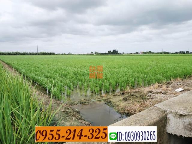 嘉義鹿草農地-4