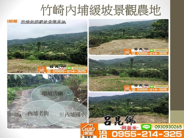 竹崎農地-0