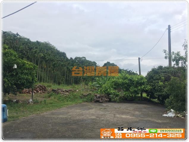 嘉義農地-1