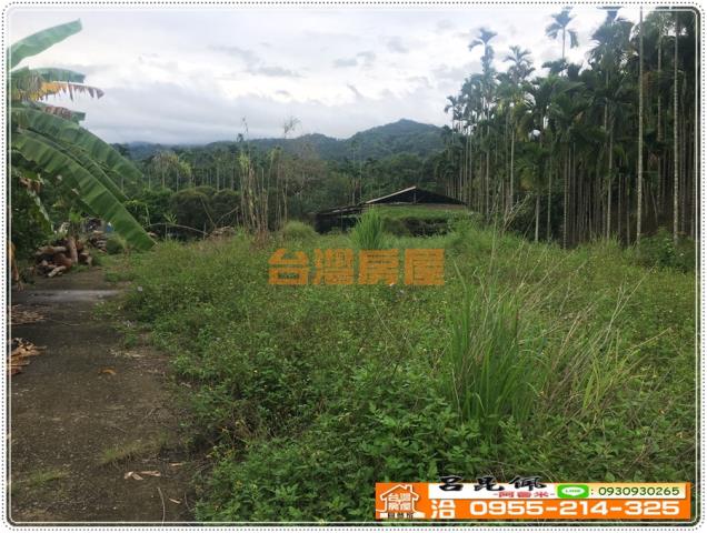嘉義農地-2