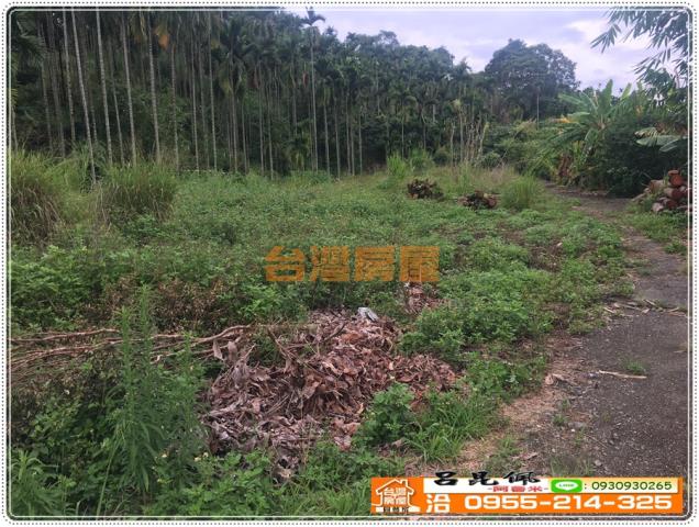 嘉義農地-3