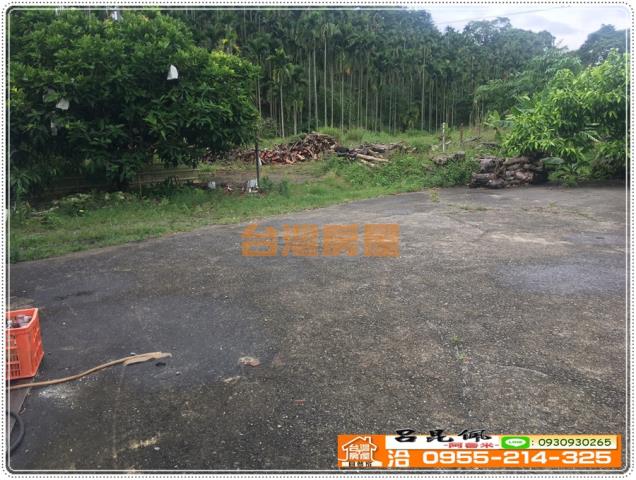 嘉義農地-6