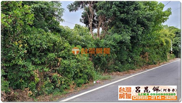 民雄農地-1