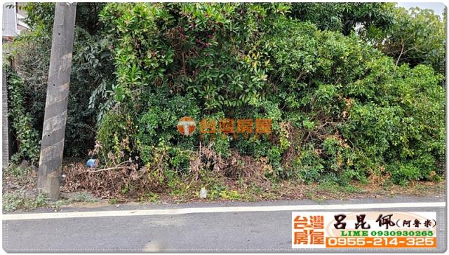 民雄農地-2