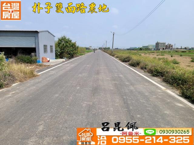 朴子農地-4