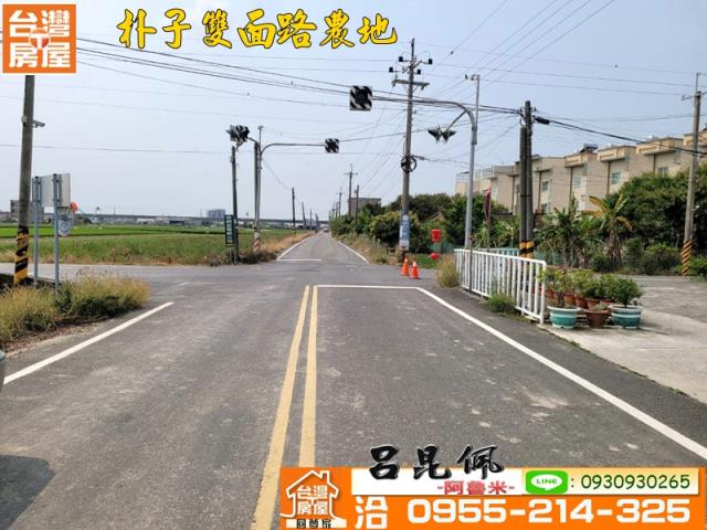 朴子農地-5