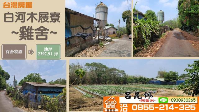 台南雞舍-0