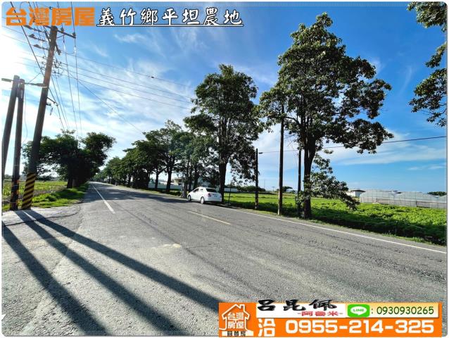 義竹農地-11