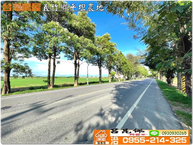 義竹農地-12