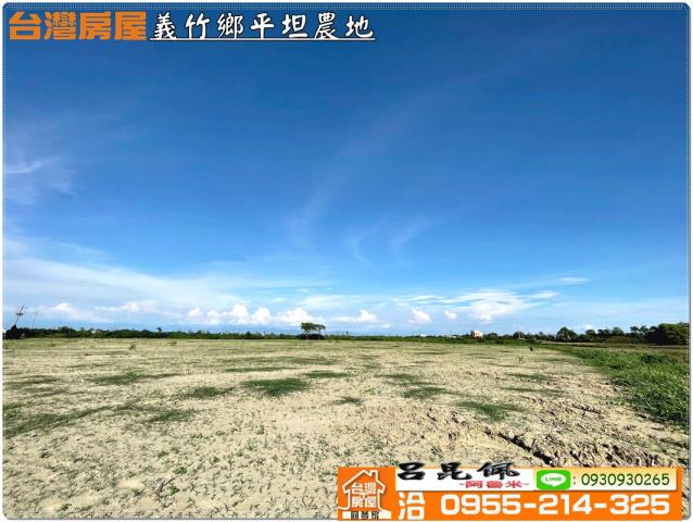 義竹農地-4