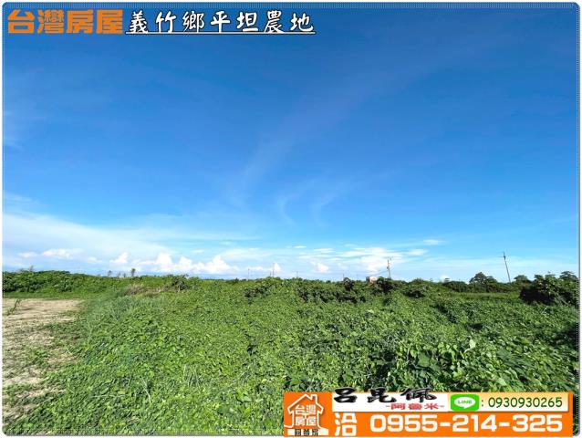 義竹農地-6