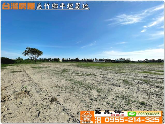 義竹農地-7