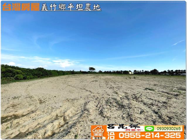 義竹農地-8