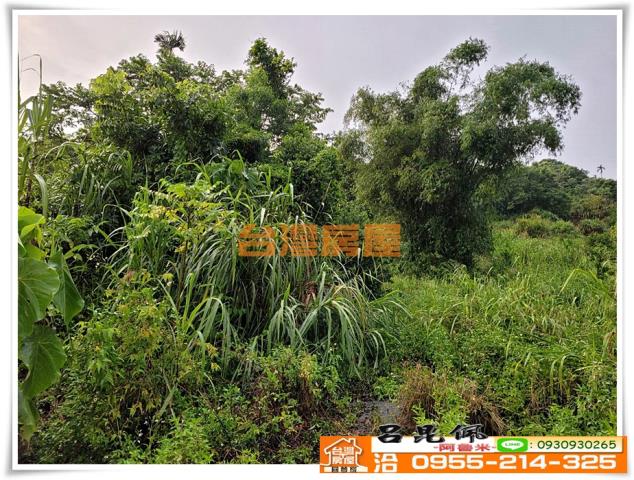 嘉義竹崎農地-2