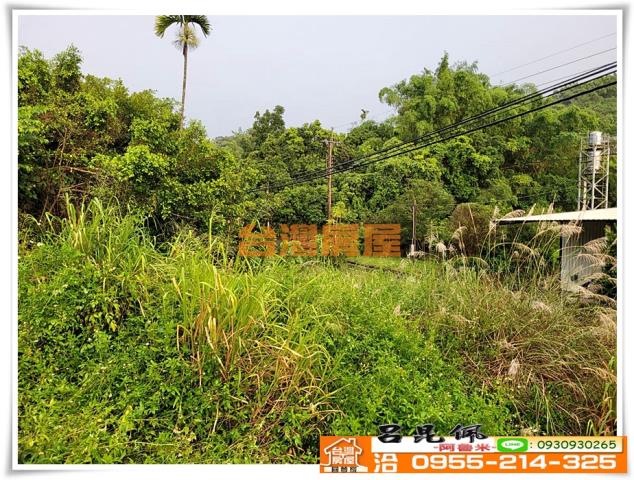 嘉義竹崎農地-3