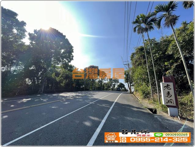 嘉義番路農地-4