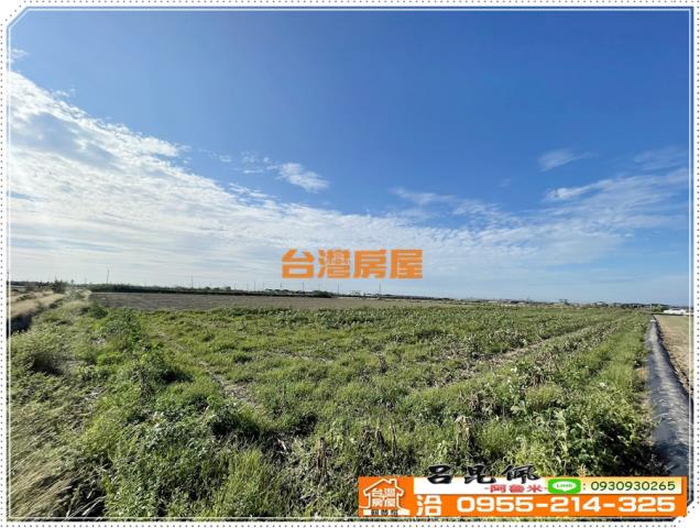 嘉義義竹農地-1