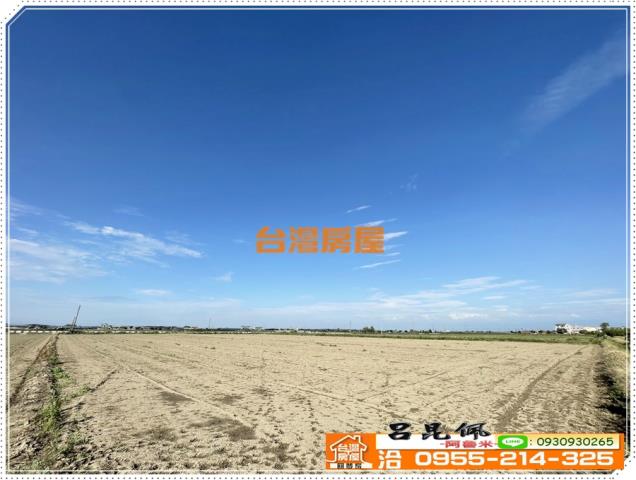 嘉義義竹農地-3