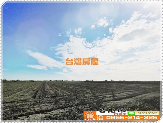 嘉義義竹農地-4