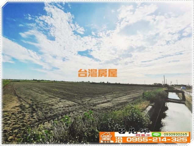 嘉義義竹農地-5