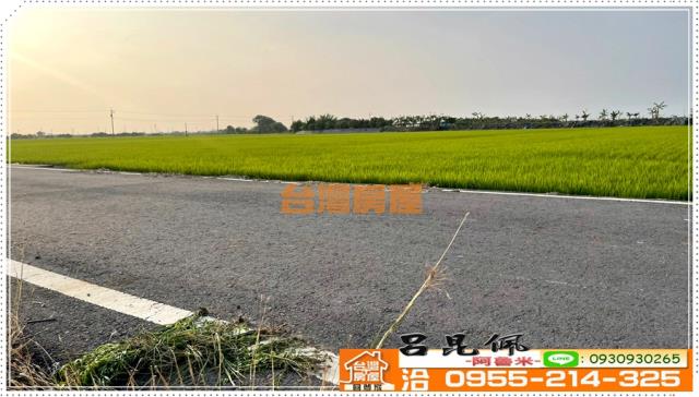 嘉義農地-1
