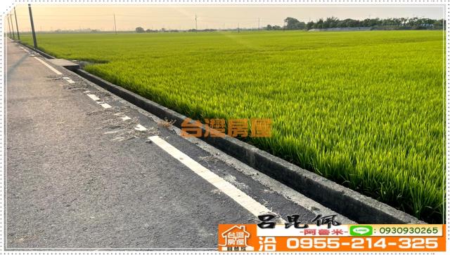 嘉義農地-6