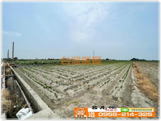 四湖農地-2