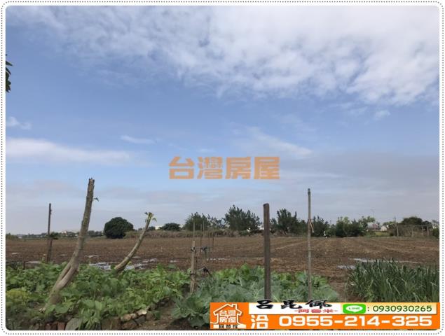 西區農地-2