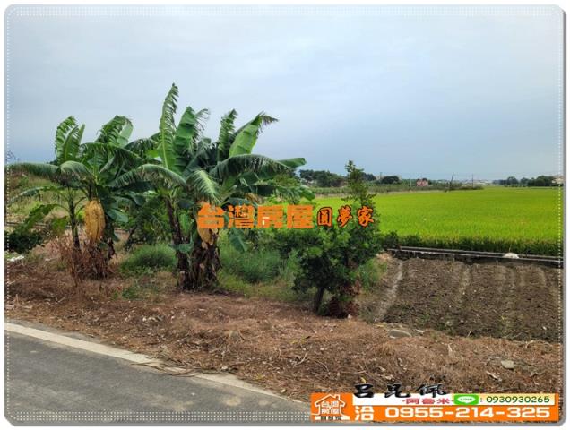 嘉義農地-2