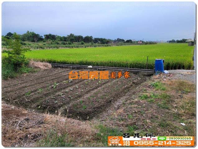 嘉義農地-3