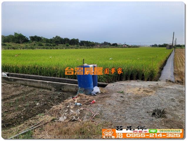 嘉義農地-4