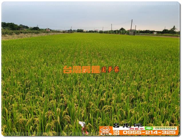 嘉義農地-5