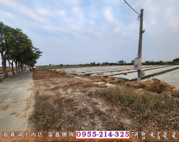 鹿草農地-1
