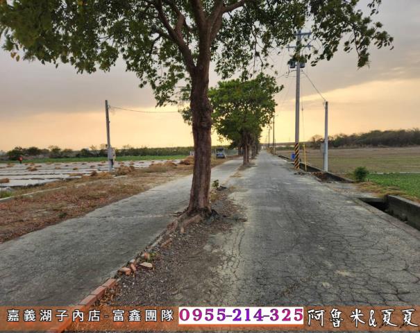 鹿草農地-2