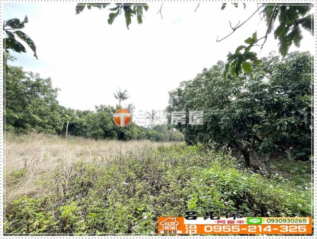番路農地-5