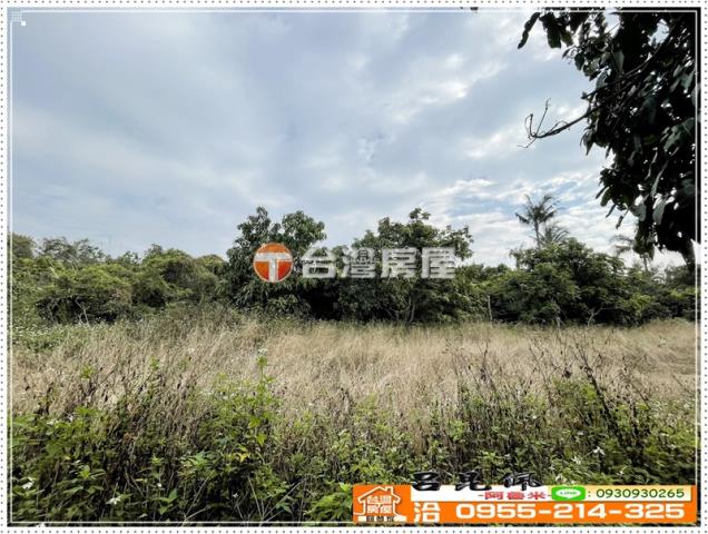 番路農地-6