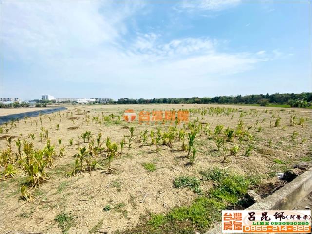 太保農地-3