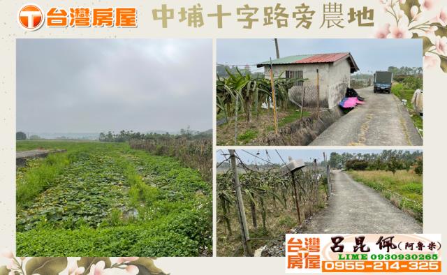 中埔農地-0