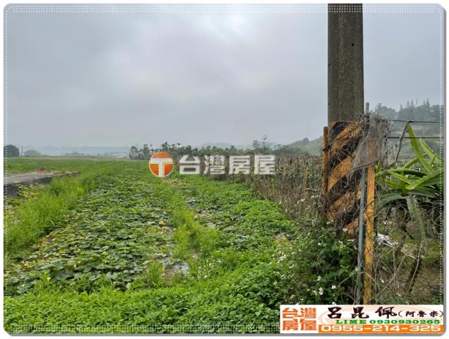 中埔農地-3