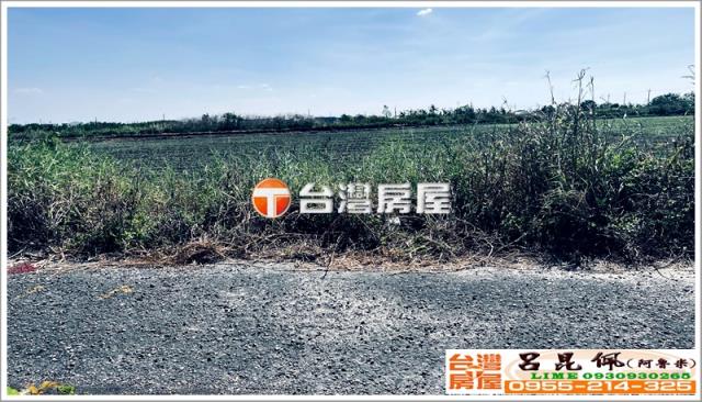 台南七股農地-1