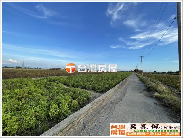 布袋農地-1