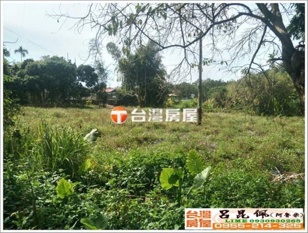 番路農地-1