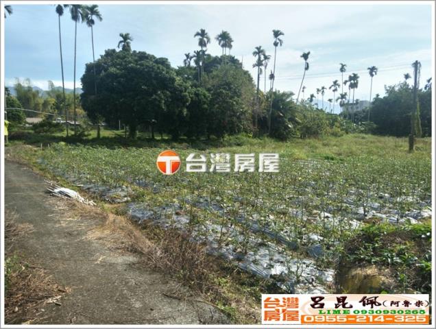 番路農地-2