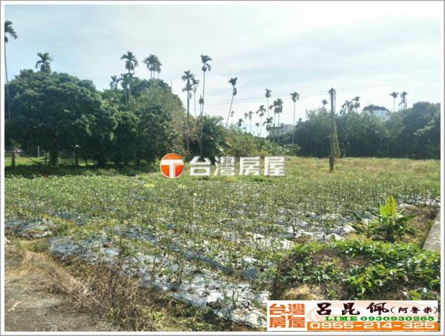 番路農地-3