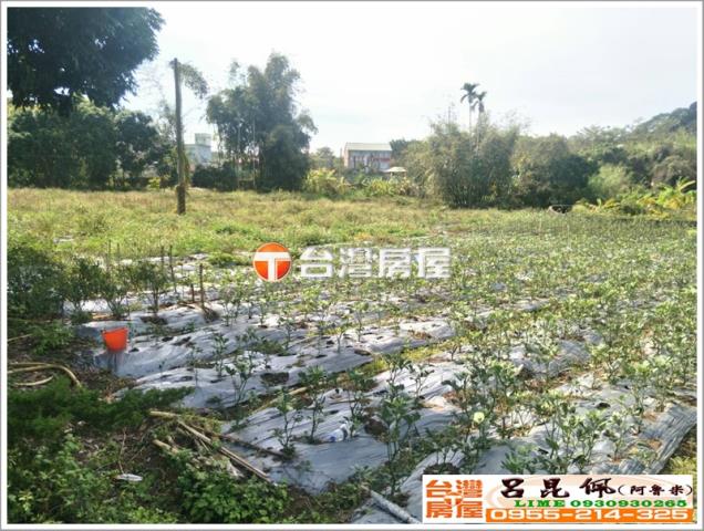 番路農地-4