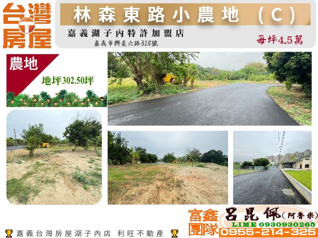 東區農地-0
