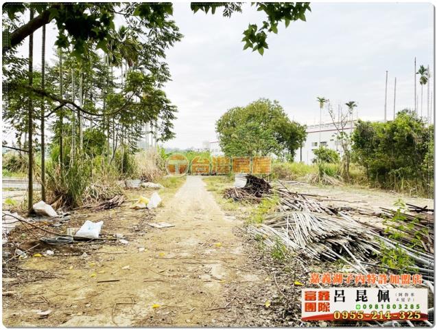 中埔農地-1