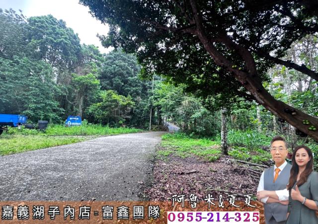 嘉義農地-0