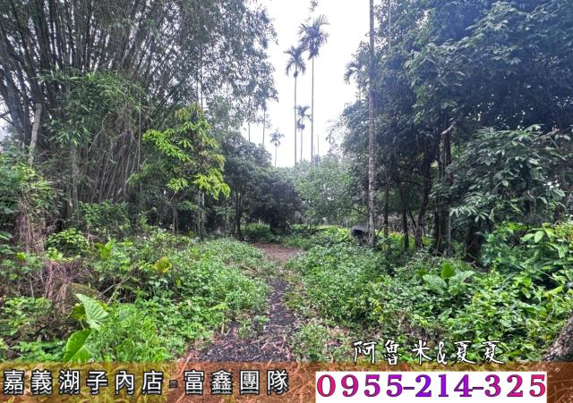 嘉義農地-1