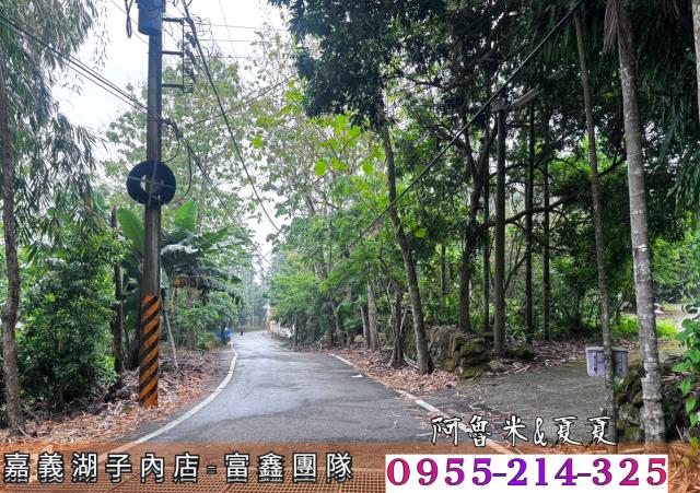 嘉義農地-2